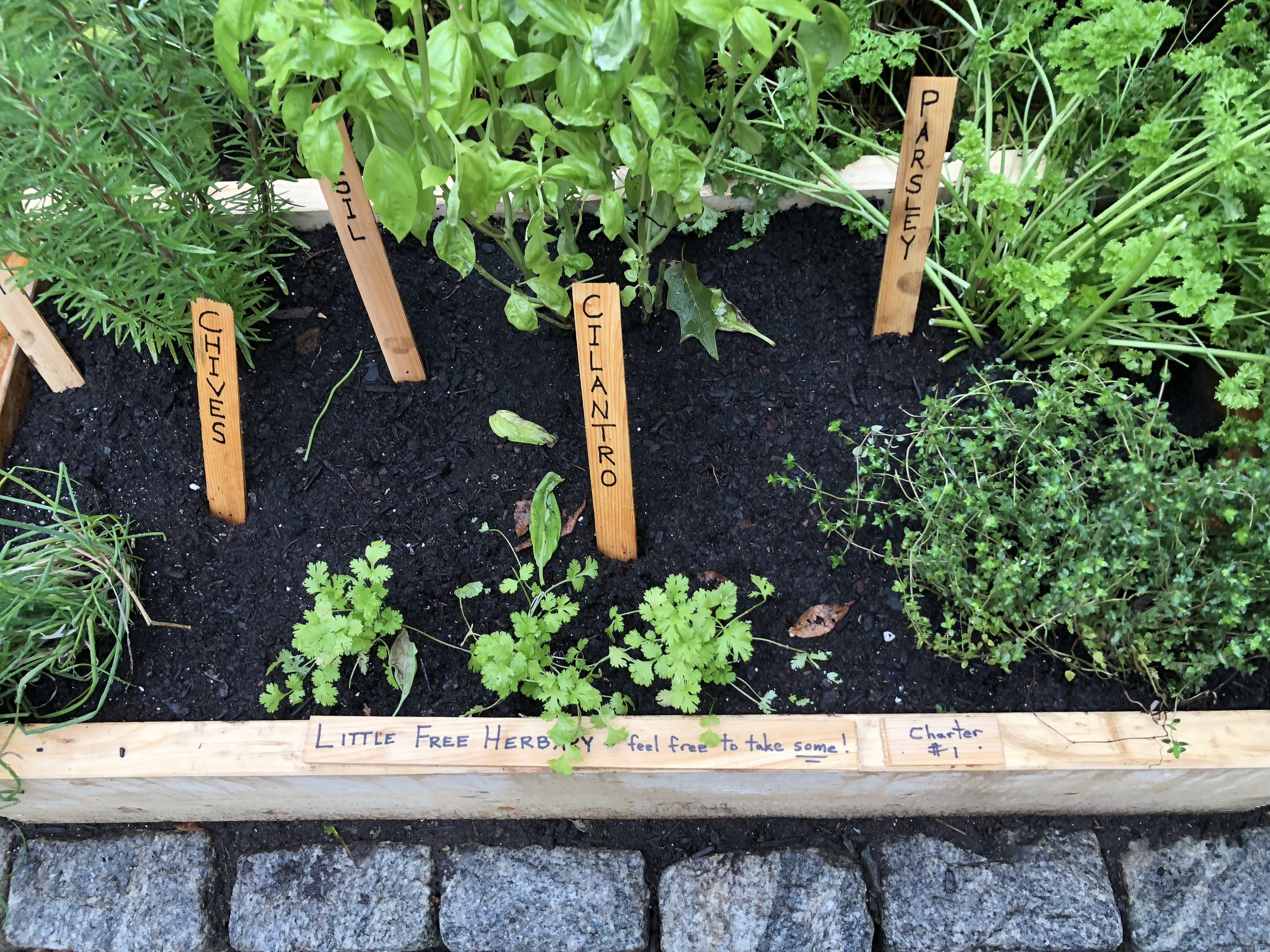 A Little Free Herbary planted along a sidewalk